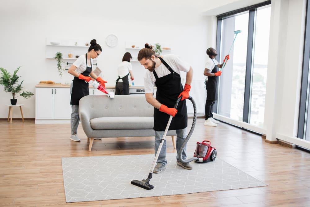 Professional Cleaning Services by  Fixoltess 